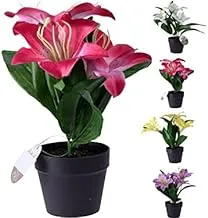 Dubai Garden Centre Artificial Flower Plant, 20 cm Height, Multicolour