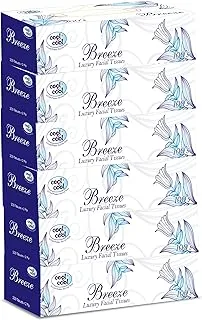 Cool & Cool Breeze Facial Tissues 100's 2Ply (Pack of 6) - Soft, Soothing, and Convenient Box Pack for Refreshing Comfort 600's