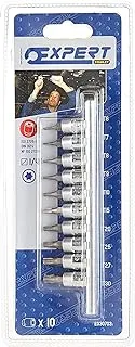 Expert E030703 Screwdriver Bit Socket 10 Piece Set