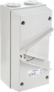 Schneider Electric 20A 250V Surface Mount Single Pole Isolating Switch IP66