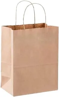 SNH Packing Kraft Paper Party Bag with Twisted Handle 50-Pieces, 33 cm x 34 cm x 18 cm Size, Brown