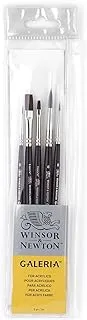 Winsor & Newton GALERIA BRUSH SH ZIP SET/5