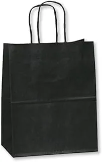 SNH Packing Kraft Paper Party Bag with Twisted Handle 10-Pieces, 24 cm x 28 cm x 12 cm Size, Black