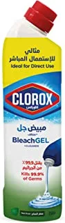 Clorox Bleach Gel and Cleaner, 750ml, Mint Freshness, Kills 99.9 Percent of Germs, Thick Gel Formula