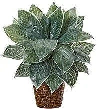 Nearly Natural 18In. Silver Aglaonema Artificial Basket (Real Touch) Silk Plants, Green