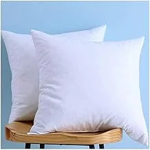 Hotel Linen Klub Regency Klub Cushion Filler , Outer Cover : 70GSM Non Woven , Filling 700grms Soft Fiber, Size: 65 x 65cm , White