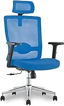 Mahmayi Ergonomic Adjustable Office Chair with Adjustable Arm Rests, Lumbar Support, Contoured Back, and Seat Cushion - Comfortable Seating Solution for Office and Home - Ergonomic Blue Contoured Back