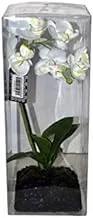 Dubai Garden Centre Artificial Orchid in Plastic Wrap