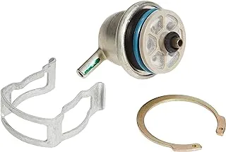 ACDelco 217-3071 GM Original Equipment Fuel Injection Pressure Regulator Kit with Regulator and Clips