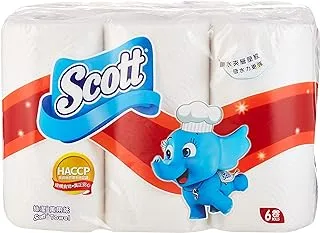 Scott Towel 6Roll