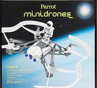 Parrot Remote Controlled Toys ,Multi color