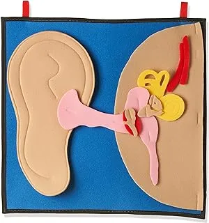 Twoey Toys Big Ear, Multi-Colour, 11Enc08069