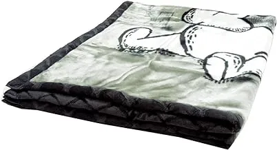 Disney 2 PLY Blankets , Pack of 1