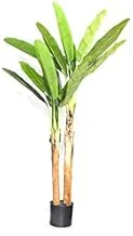 Dubai Garden Centre 2 Stem Artificial Banana Plant, 175 cm Height, Green/Beige