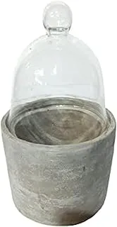 Dubai Garden Centre Cloche with Concrete Base Terrarium