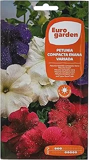 Euro Garden Dwarf Compact Mixed Petunia Seeds