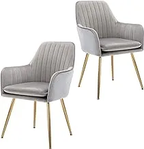 Golden Beach Velvet Dinning Chair Set Of 2 Mid-Back Accent Chair Modern Leisure Armchair With Gold Plating Legs Upholstered Living Room Chair (Silver Gray-2Pcs)