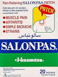 Salonpas Pain Relief Patch - 20 Patches