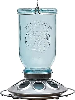 Perky-Pet 784 Mason Jar Wild Bird Feeder, No Size, Blue