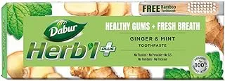 Dabur Herb'l Plus Toothpaste 150gm with Free Bamboo Toothbrush | With Ginger & Mint |For Healthy Gums and Fresh Breath