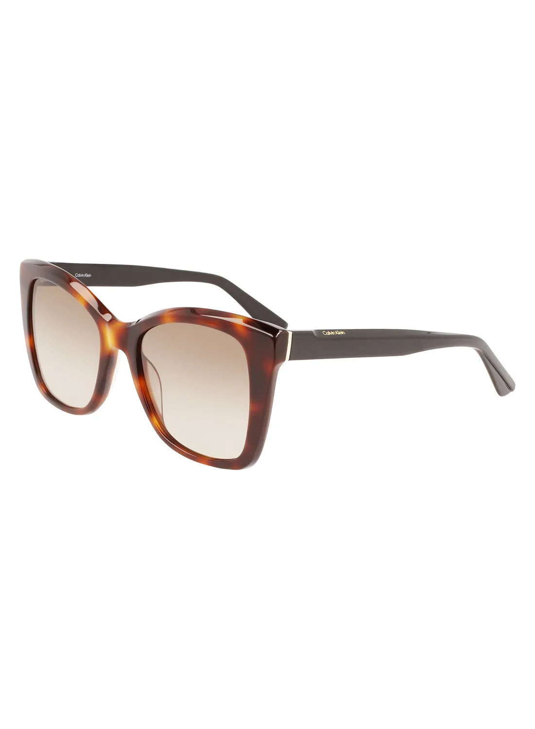 CALVIN KLEIN Full Rim Acetate Butterfly Calvin Klein Sun Ck22530S 5319 (220) Brown Havana