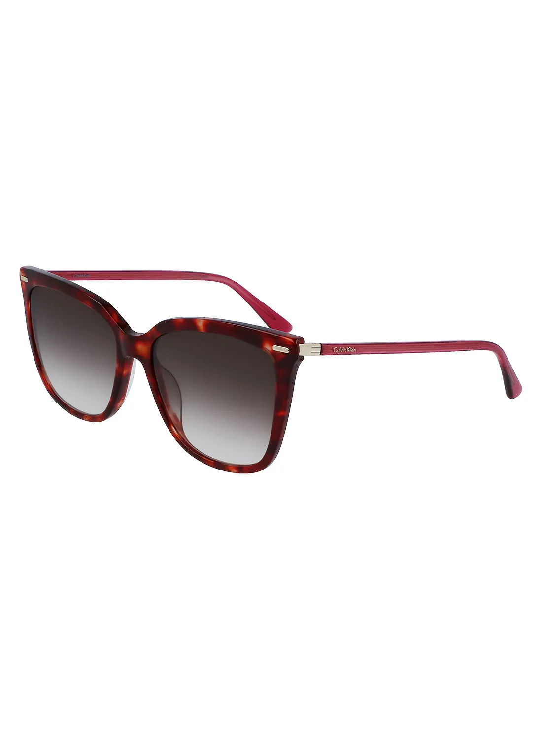 CALVIN KLEIN Full Rim Acetate Modified Rectangle Sun Ck22532S 5616 (609) Burgundy Havana