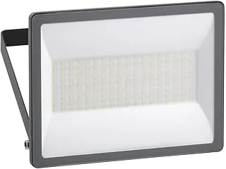 Schneider Electric Mureva Floodlight, Without Sensor, 100W, 4000K, 230V, IP65, Outdoor Light, Night Light, Wall Light, IMT47214