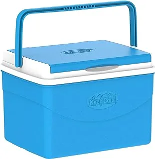 Cosmoplast Keep Cold Plastic Picnic Cooler Icebox Lunchbox