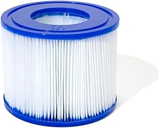 Bestway Lay-Z-Spa Type VI Filter Cartridge