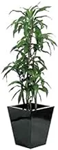 Dubai Garden Centre Artificial Dracaena Fragrans Tree, 150 cm Height, Green