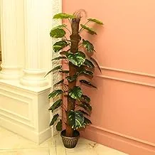 YATAI Nearly Natural One Rod Artificial Alocasia Plant 1.6 Meters Tall Artificial Tree in Plastic Pot with Moss Grass Arrangement For Home Indoor Outdoor Decoration – Garden Plants