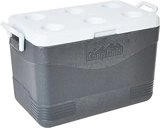 Cosmoplast Keep Cold Plastic Picnic Cooler Icebox 46 Liters