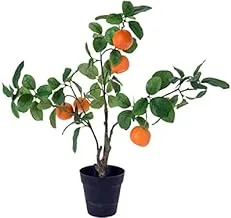 Dubai Garden Centre Mix Artificial Fruit Tree, 55 cm Height, Multicolour