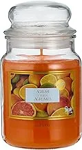 Aladino Citrus Fragranced Large Candle In Glass Jar. 100 Hour Burn Time.