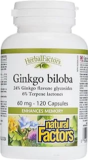 Natural Factors Ginko Biloba 60 Mg 120 Capsules