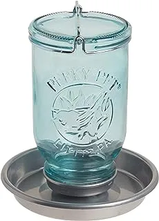 Perky-Pet 1 Mason Jar Wild Bird Waterer 783 ، أزرق