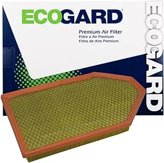 Ecogard XA6167 Premium Engine Air Filter Fits Dodge Charger 3.6L 2011-2021, Challenger 5.7L 6.4L 2011-2021