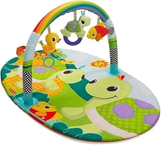 Infantino Explore & Store Activity Baby Playgym Turtles, Multicolor, 930 005233 12, One Size