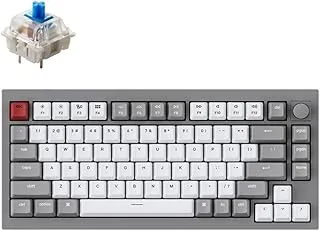 Keychron Q1 QMK Gateron Phantom Mechanical Keyboard with Knob, RGB, Blue Switch and Costom H