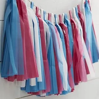 Ginger Ray Tassel Garland, Pink/Blue/White