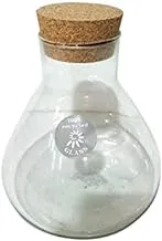 Dubai Garden Centre Terrariums Pyramid with Cork, 7.3 cm Length x 2 cm Width x 16 cm Height