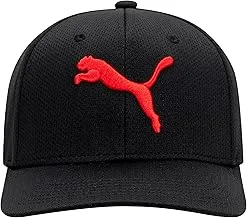 PUMA Men's Evercat Luke Stretch Fit Cap Baseball