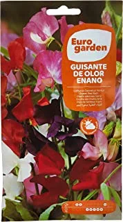 Euro Garden Tall Mix Sweet Peas Seeds 6 G