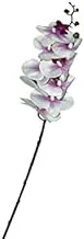 Dubai Garden Centre Artificial Phalaenopsis Orchid Stem, White/Pink