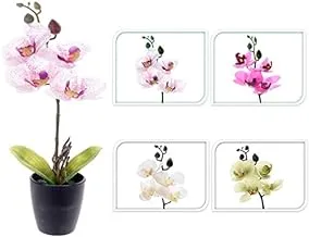 Dubai Garden Centre Artificial Mix Orchid, 33 cm Height