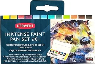 Derwent INKTENSE PNT PAN SET/12#01