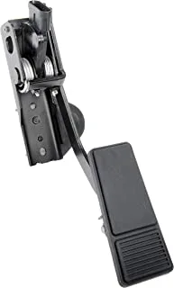 Dorman 699-119 Accelerator Pedal Compatible with Select Chevrolet/Pontiac Models