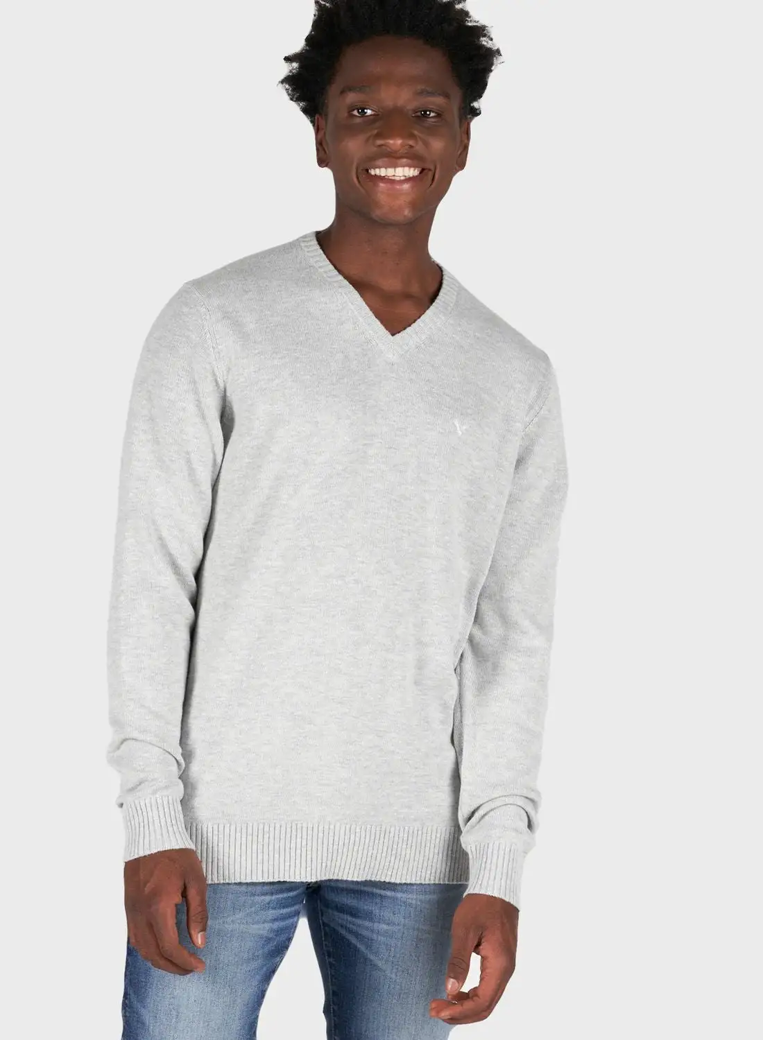 American Eagle Essential V-Neck Sweater