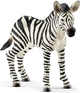 Schleich Zebra Foal Toy Figure Black/White 14811