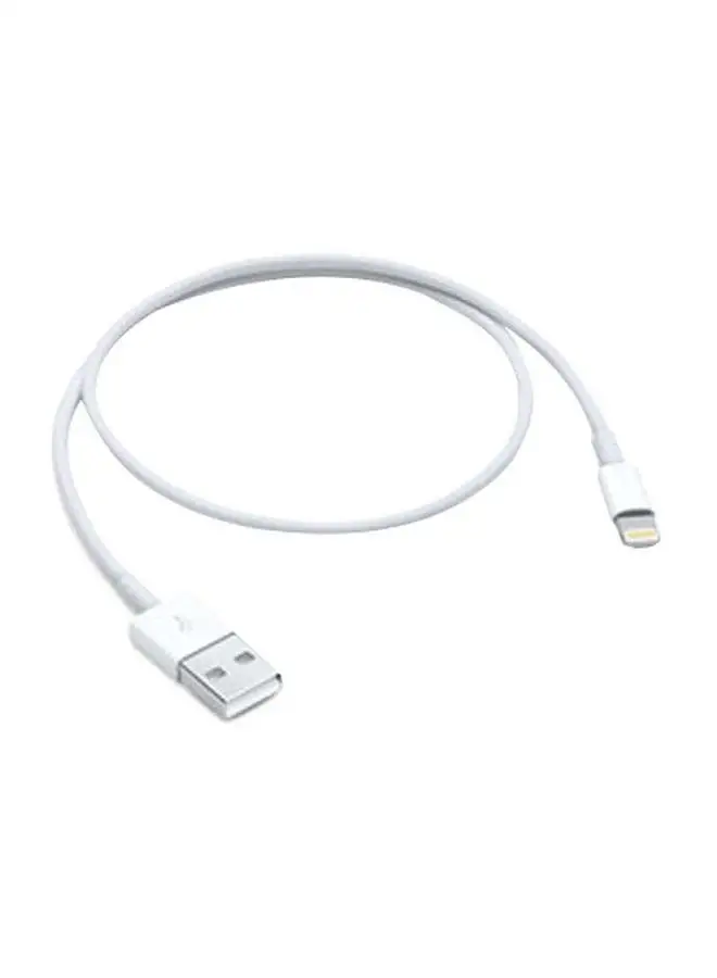 Apple Lightning to USB Cable (0.5 m) White